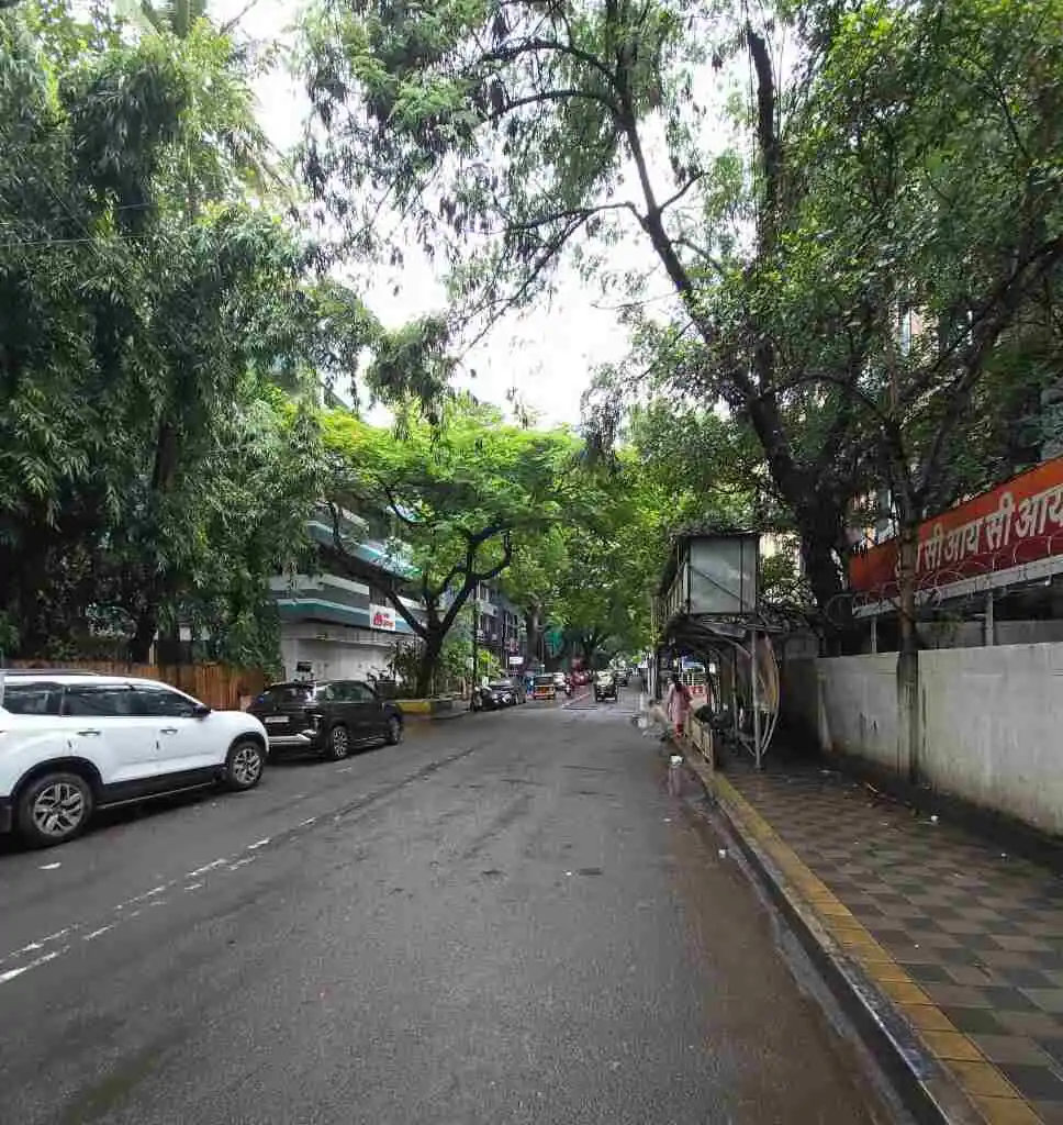Bhandarkar Road