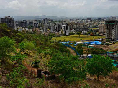 Pashan